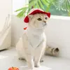 Ropa para Gatos para Primavera y Verano, Chaleco Delgado Anti-Caída con Sombrero para Gatitos, Perros Pequeños y Ropa para Mascotas