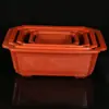 Macetas Rectangulares para Bonsái en Stock Venta al por Mayor Plástico Engrosado y Elevado Macetas para Árboles Frutales Flores Siembra Superficial Jardinería Biodegradable Plantas Verdes