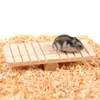Balancín de tronco para hámster, pequeño oso dorado para mascotas, conejillo de indias, puente de madera, juguetes para hámster, suministros