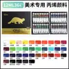 Set de Pintura Acrílica Risa 36 Colores 5ml/12ml Que No Se Desvanece Pintura de Graffiti para Niños Pintura Texturizada Mezcla de Colores