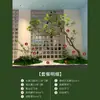 Planta Verde Artificial de Madeira de Cavalo de Alta Qualidade Paisagismo Janela Planta Biônica Árvore Decorativa Árvore Artificial Grande Paisagem Interna Simples