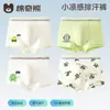 Algodão Antibacteriano na Virilha Roupa Íntima Infantil Masculina Modal Verão Estilo Fino Cueca Boxer Masculina Respirável e que Não Aperta
