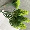 Planta de simulación brotes de pino y ciprés piñas piña fruta decoración de paisajismo herramienta de fotografía fruta de pino y ciprés