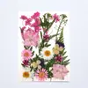 Kit de materiales DIY de flores secas mixtas para estilismo de maquillaje, maquillaje facial para retratos personales, especímenes de plantas de flores reales en relieve