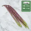 Modelo de vegetal de simulação PU pimenta alface repolho chinês berinjela cebola cogumelo brócolis modelo de adereços decoração de sala