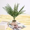 Série de Plantas Verdes Samambaia Simulada Folhas Grandes de Salsa Borracha Macia Grande Ramo Plantas Verdes Paisagismo Cenário Decoração de Casa