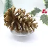 Kit de Materiales Hecho a Mano para Manualidades con Materiales Florales Mixtos, Piñas Naturales, Decoración de Jardín de Infancia con Temática del Bosque, Piñas de Navidad, Flores Secas