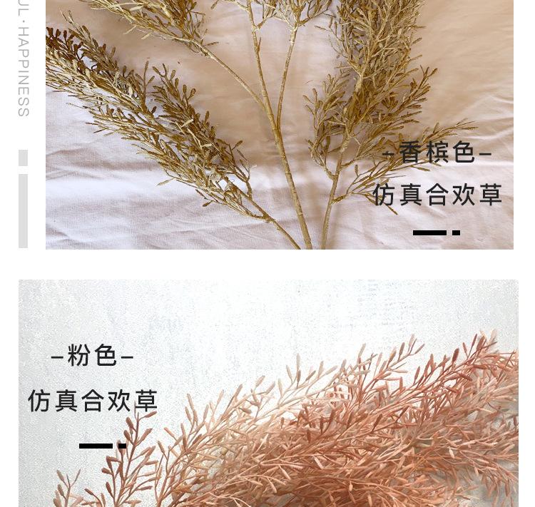 合欢草详情_08