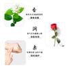 Fragrância Verde Grama 730ml Aromaterapia Rosa Base de Óleo para Massagem Corporal Salão de Beleza Óleo BB Massagem Massagem nos Pés Óleo Essencial
