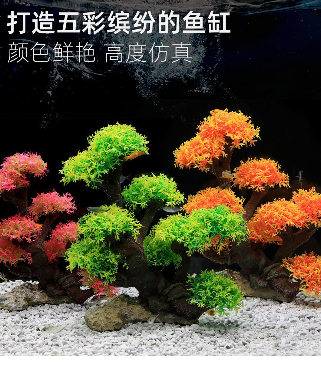 详情_01.jpg