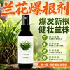 Agente Especial Estimulante de Raíces para Plantas de Orquídeas, Solución Nutritiva Especial para Orquídeas, Previene el Marchitamiento de las Hojas, Promueve el Enverdecimiento, Enraizamiento, Floración, No Requiere Dilución