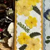 Flores reales flores prensadas tarjetas de felicitación de flores prensadas con tema de bosque, tarjetas de votos, tarjetas, regalos florales, marcapáginas, tarjetas de presentación, tarjetas de invitación y artículos decorativos