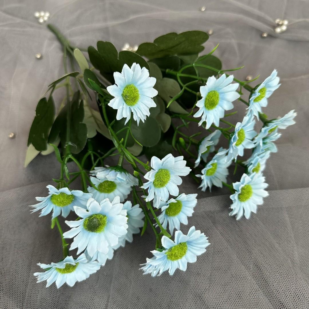 邹菊把浅蓝
