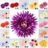 Arreglo floral de flor de lasaña simulación boutique cabeza de flor estilo ins crisantemo dorado hecho a mano DIY pasador flor ramillete flor de muñeca accesorios