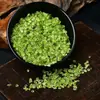 Pedra Bruta Peridoto Verde Natural Cristal Rocha Bruta Solta para Inlay Manza Sete Joias Paisagismo Decoração de Unhas