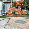Flor de Año Nuevo Simulación 3D Phalaenopsis 10 Palomas Naranja Boda Suave Decoración del Hogar Flores Falsas Mayoreo