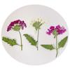 Bolsa de Bordado com Flores Secas de Sakura Linda Material para Decoração de Arte de Unhas Vela de Aromaterapia Marcador de Página Porta-Retrato DIY Feito à Mão Cartão de Cumprimentos