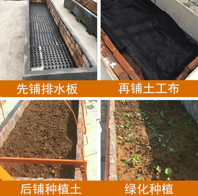 微信截图_20200615093308