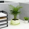 Jardinera Cráter Cremosa Cian RONG MAKE