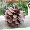 Enfeites de pinha natural para decoração de Natal 2-14CM Torre de pinha Bola de pinha Jardim de infância Artesanato material de flor seca atacado