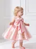Amazon Cross-Border Novo Vestido Infantil Renda Bordada Saia Tutu Vestido de Performance para Piano Passarela Vestido de Princesa Rosa