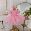 Vestido rosa de comercio exterior transfronterizo para niña con mariposa tridimensional, falda abullonada, vestido de princesa para niña de flor de bautizo de un año con mangas abullonadas