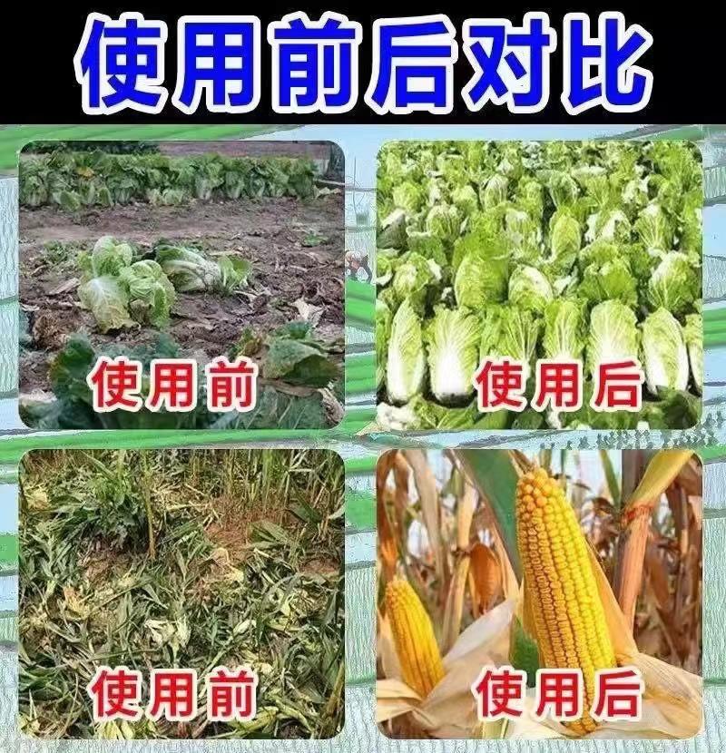 详情-5