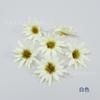 Simulação pequena garra crisântemo caixa de presente acessórios de vestuário Daisy Garland DIY material artesanal fotografia adereços chapéu decorativo flor