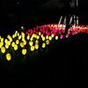 Nova lâmpada solar de Tulipa em material de borracha para exterior LED solar simulação de flor tulipa grande