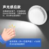 Lámpara de techo de inducción LED, luz con control de voz, radar doméstico, cuerpo humano, pasillo, escalera, pasillo, balcón, luz de inducción para pasillo.