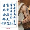 Adesivos de Tatuagem Herbal de Suco Semipermanente Transfronteiriços à Prova d'Água de Longa Duração Unissex Tatuagem Texto Adesivos de Tatuagem Tatuagem Realista