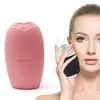 Rolo de Gelo Rolo de Gelo Massagem Rosto Rosa Molde de Gelo Rosto de Gelo Instrumento Barreira de Gelo Grade de Gelo de Silicone Transfronteiriço