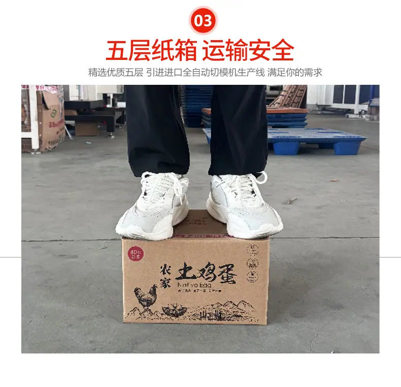 详情页_11 (2)