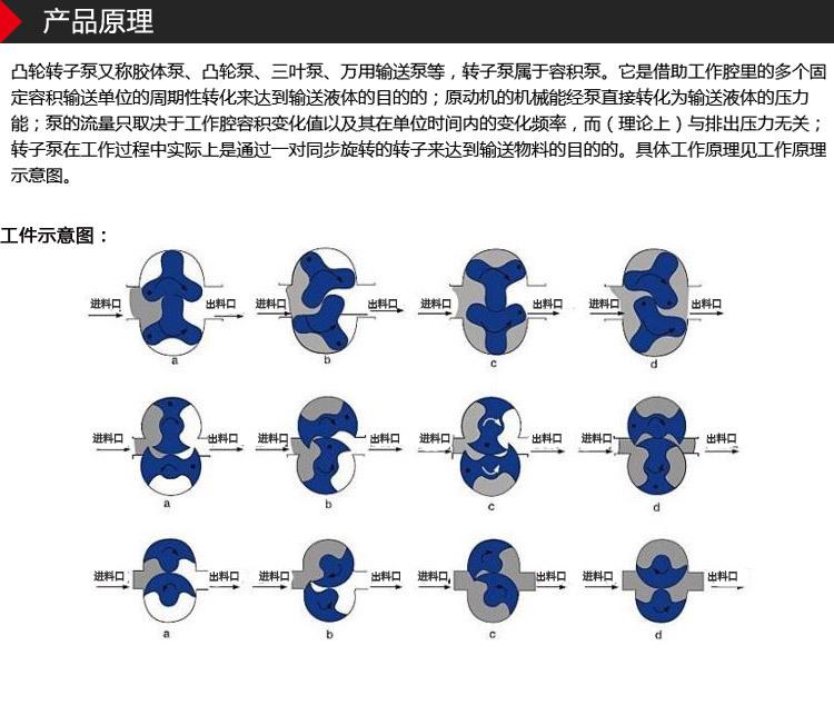 转子泵新_04
