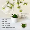 Mini plantas suculentas artificiales de maceta transfronterizas para decoración del hogar, plantas falsas, bonsáis pequeños, adornos de plantas verdes de escritorio para oficina y restaurante