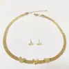 Conjunto de Acero de Titanio de Venta Caliente: Collar y Pendientes para Mujer, Alta Calidad, Conserva el Color, Moderno, a la Moda, Cadena Plana Única de Hueso de Serpiente