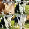 Mangas protectoras para las articulaciones del codo y la rodilla de las patas delanteras para perros medianos y grandes, Collies Border, para prevenir el desgaste y la suciedad.