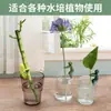 Soporte para plantas hidropónicas con figuritas, herramienta de jardinería para sostener y enderezar ramas, decoración de escritorio de oficina, se puede fijar en forma, adecuado para plantas en macetas hidropónicas