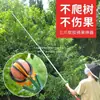 Herramienta para Recoger Fruta con Poste Telescópico y Tres Garras para Recoger Manzanas, Granadas, Peras y Caquis de Lugares Altos