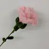 Palitos Retorcidos, Claveles, Productos para el Día de la Madre y el Día de la Mujer, Venta al por Mayor, Exhibidores de Puesto, Arreglos Florales, Regalos para el Día de la Madre