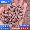 Venta al por mayor del fabricante Piedras Rojas para Paisajismo para Pavimentación y Pisos, Cantos Rodados Rojos Grandes para Patio y Decoración de Paisaje Seco