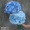 Hortensia de Simulación 3D Fabricación Pared de Flores para Boda Azul Bella Decoración Venta al por Mayor Hogar Suave Hortensia Transfronteriza