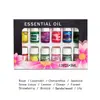 Selección Cuidadosa de 12 Botellas de 3ml de Aceites Esenciales Aromáticos, Líquido Fragante Soluble en Agua para Perfumar Interiores, Completamente en Inglés, Al por Mayor Transfronterizo en Stock