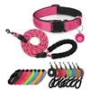 Collar Reflectante para Perro con Correa y Etiqueta de Identificación Inteligente QR, Juego de Collar de Seguridad de Nylon Ajustable para Paseo y Entrenamiento de Perros
