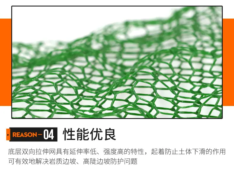 三维植被网_06.jpg