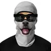 Máscara de Montar para Motocicleta al Aire Libre Cubierta Facial 3D Sudadera Deportiva Sombrero a Prueba de Polvo y Frío Forro de Casco Resistente al Viento