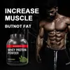 Comércio Exterior Vendas Diretas Transfronteiriças Pó Proteico Sabor Matcha Proteína do Soro do Leite Fábrica Estoque 2.2Lbs