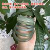 Espacio Libre del Contrapunto Pulsera de Calcedonia Viva Banshan Medio Pulsera de Ágata Violeta Pulsera de Jade Macarrón Degradado