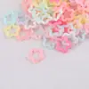 Cor Gelatinosa Recorte Estrela de Cinco Pontas Cor Transparente Furo para Pendurar Flor de Ameixa Estrela Chaveiro DIY Materiais de Decoração de Mão Acessórios