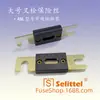 Fusible de perno de horquilla grande ANL, fusible de perno, montacargas, coche eléctrico, fusible 20A-500A